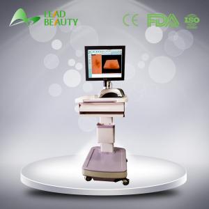 China Christmas Hottest Promotion!!! CE approved Most professional skin analyzer and hair analyz wholesale