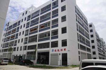 Reik Strap Co., Ltd