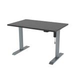 Electric Standing Computer Desk with Customization Options 80 kgs Weight