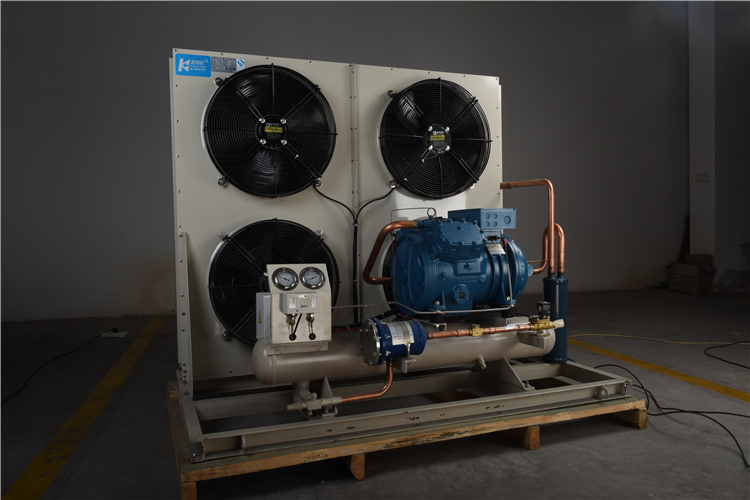 Frost Temp Monoblock Cold Room Condensing Unit Cooling System For Cold Storage