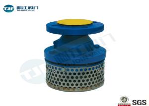 China Compact Foot Valve Strainer DN50 - DN500 With Ductile Iron Body wholesale