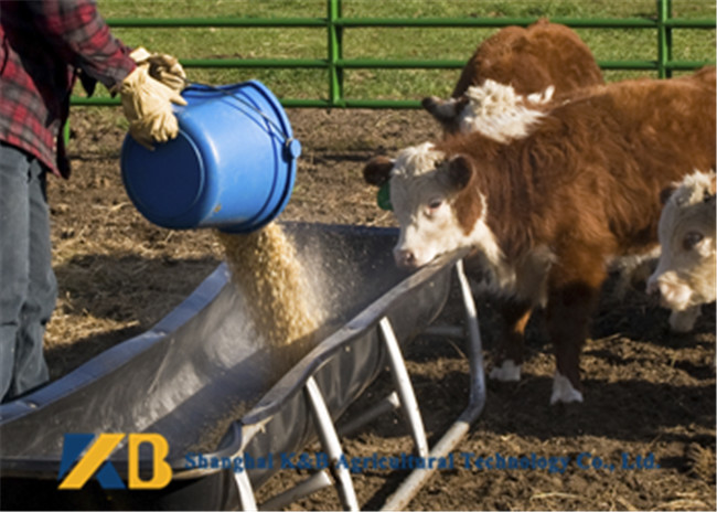 Livestock Fish Bone Meal / Fish Powder Fertilizer Maintain Normal Metabolism