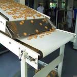 Biscuit Production Line Flat Belt Conveyor 0.4kW - 22kW Power High Efficiency