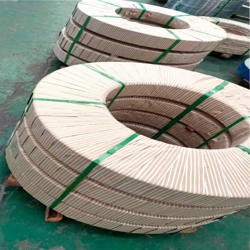 309s Cold Rolled Steel Strip 0.5mm Decorations High Temperature Applications